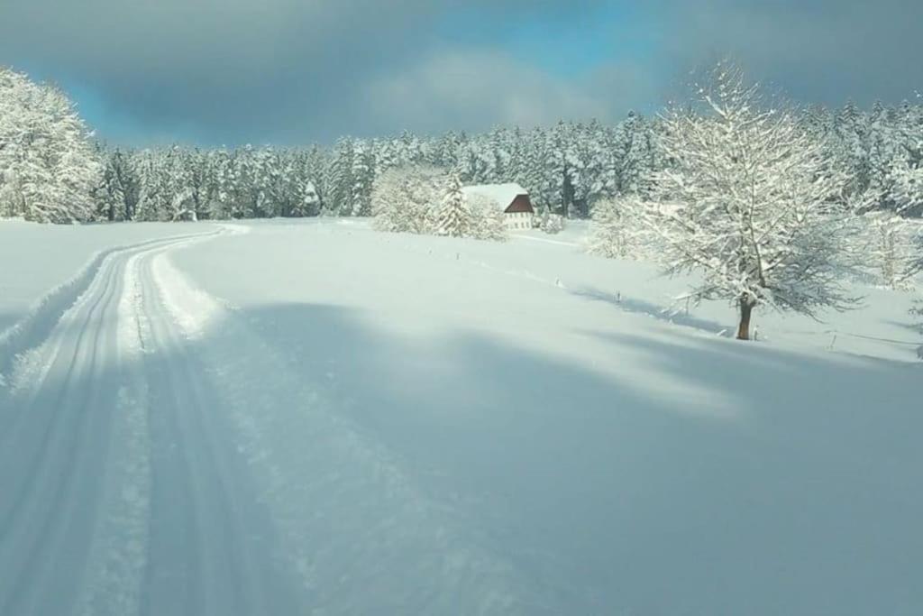 Ferienwohnung Im Schwarzwald Unterkirnach Exterior foto